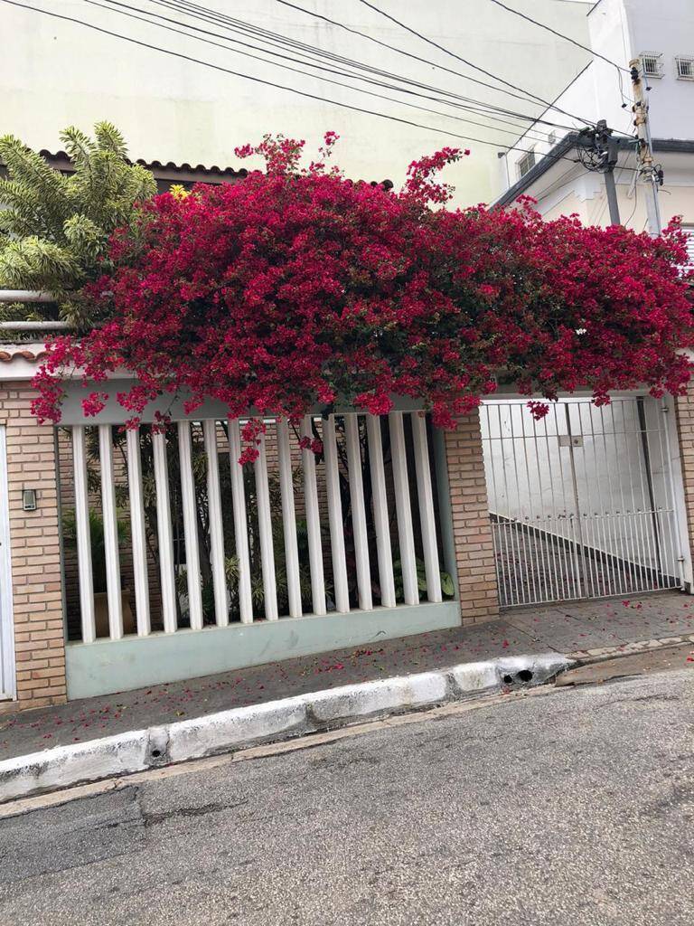 #238 - Casa para Locação em São Paulo - SP