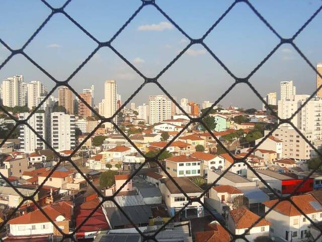 #443 - Apartamento para Locação em São Paulo - SP - 2