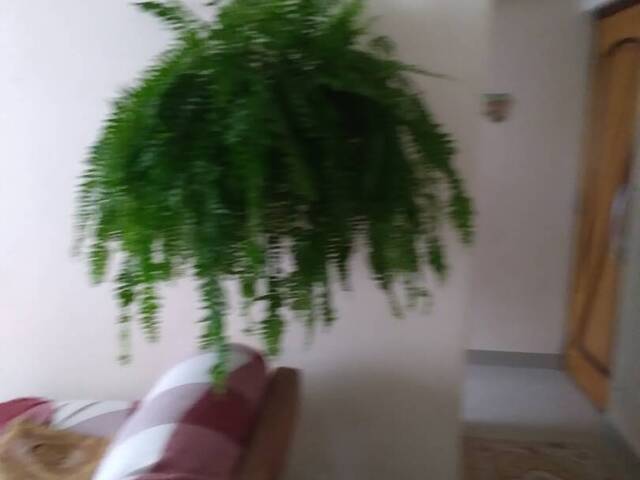 #655 - Apartamento para Venda em São Paulo - SP - 3