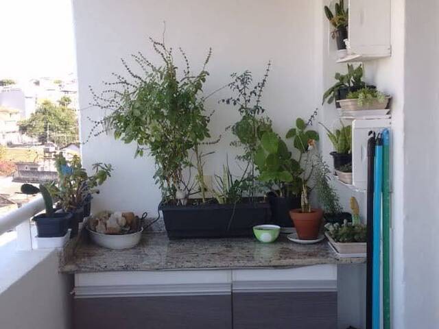 Apartamento para Venda em São Paulo - 4