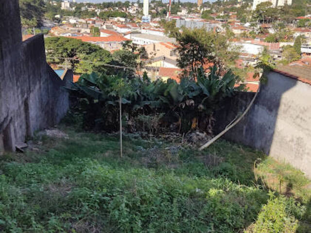 Área para Venda em São Paulo - 5