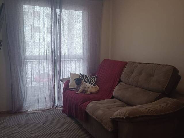 Apartamento para Venda em São Paulo - 5