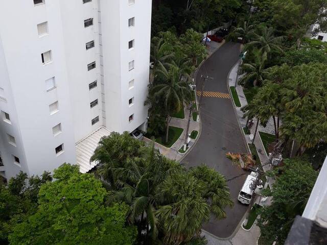 Apartamento para Locação em São Paulo - 5