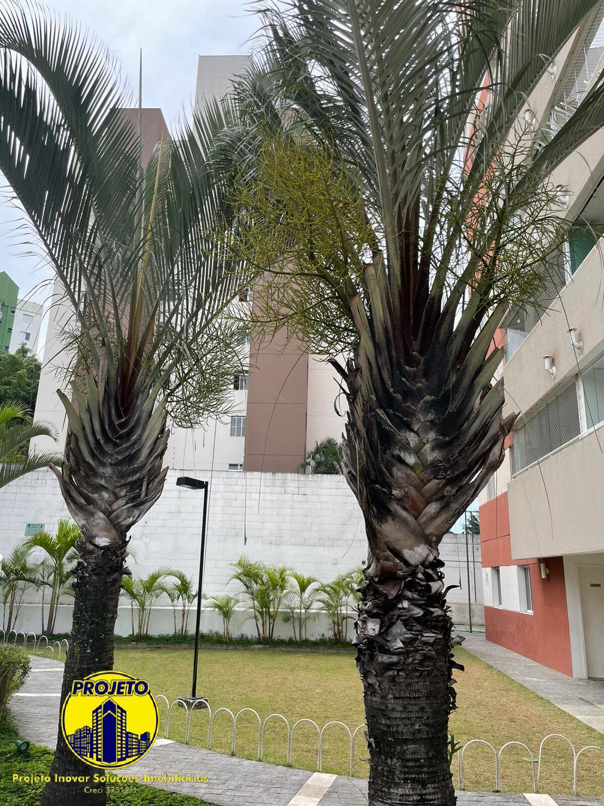 Apartamento, 2 quartos, 50 m² - Foto 15