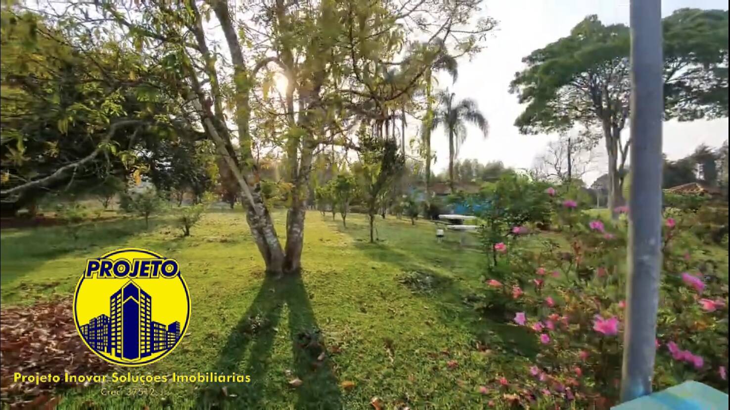 Sítio à venda com 6 quartos, 330000m² - Foto 21