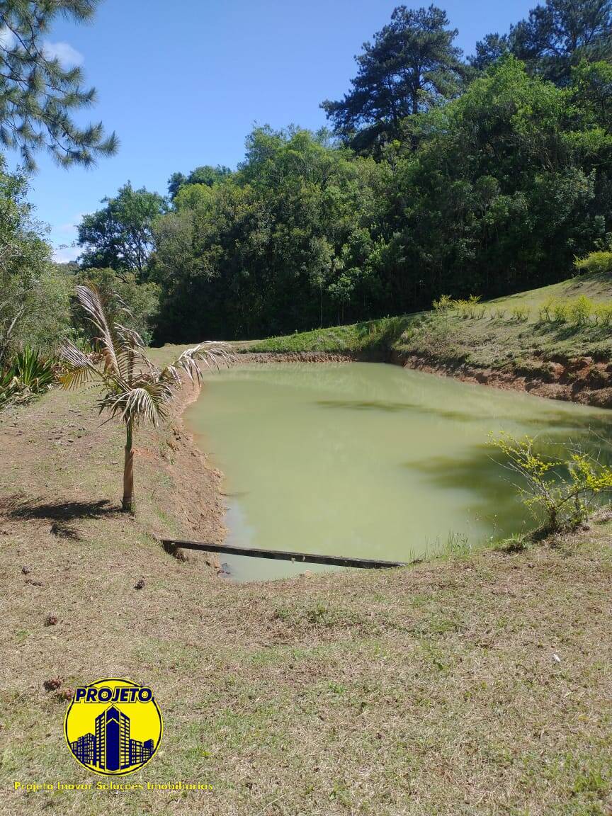 Sítio à venda com 6 quartos, 330000m² - Foto 19